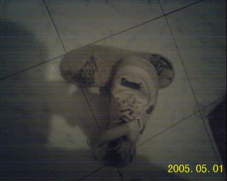 jordane  de moi  lol