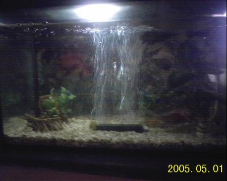 lol      c'est quoi �a  laisse  vous  commenatire  ou  li3rafha  3ando  500dh