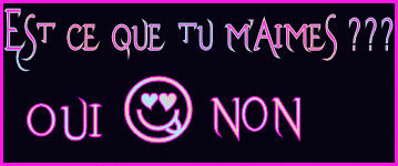 laisse  vs  commentaire