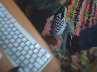 my  van's  et le van's de ramo po mal