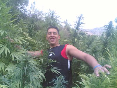 hhh  3alama  waliti baznaze  tobiya  hade  photo  l3az  jib  m3ak chi trifa  a3chiri