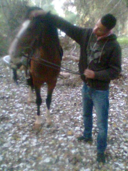 moi   vot�   les amis