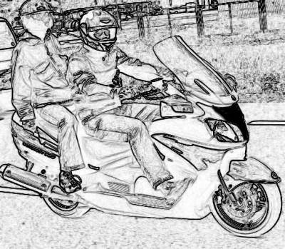 laisse  vous  commentaire   birgmane 650